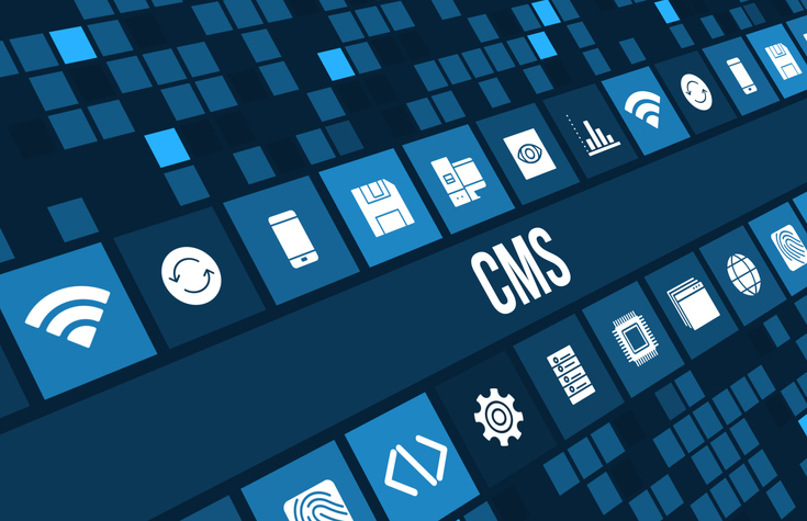 How Does Your CMS Relate to SEO?