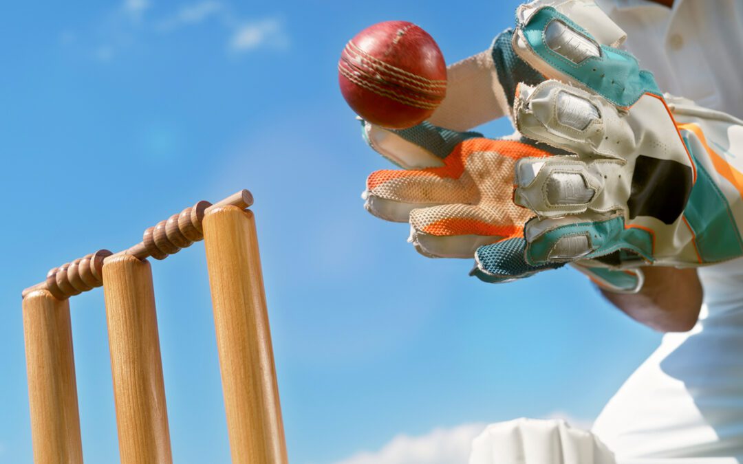 From the Pitch to the Codebase: Uncovering the Relationships Among Cricket and Software Development